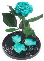 картинка Роза Premium Выс*Диам*Бутон (27*15*6-7см) Цвет тиффани