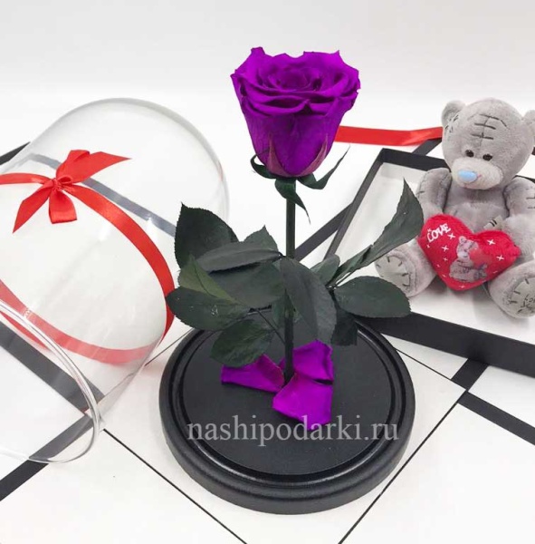 картинка Роза Premium Выс*Диам*Бутон (27*15*6-7см) Цвет фиолетовая подарки