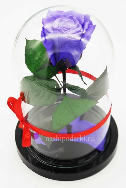 картинка Роза в колбе Mini Выс*Диам*Бутон (22*12.5*6см), Цвет фиолетовый подарки