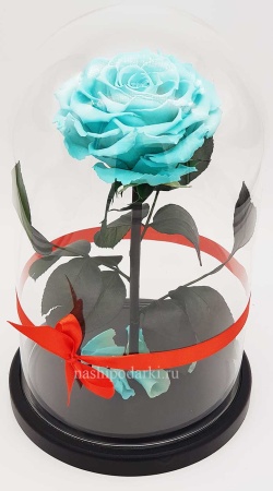 картинка Роза King Выс*Диам*Бутон (30*18*12см) Цвет тиффани подарки