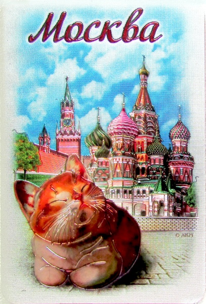 Магнит фольгированный Москва арт. 02506018K6 
