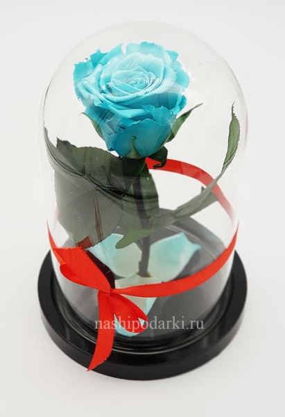 картинка 100% Роза в колбе Mini Выс*Диам*Бутон (22*12.5*6см), Цвет голубая подарки