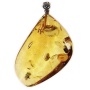картинка Кулон из Янтаря 5х3.5см 11.18гр  Арт. 190319609 магазин  картинка Кулон из Янтаря 5х3.5см 11.18гр  Арт. 190319609 магазин