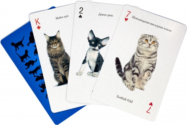 Карты игральные сувенирные "Все кошки" арт. 900007W0CAT 