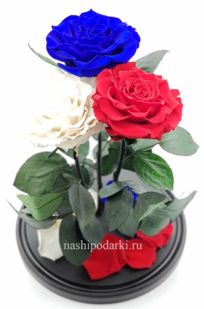 картинка Роза Трио Premium Оптом Выс*Диам*Бутон (32*22*3х12см) Цвет мультиколор подарки