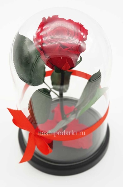картинка Роза в колбе Mini Выс*Диам*Бутон (22*12.5*6см), Цвет красная подарки