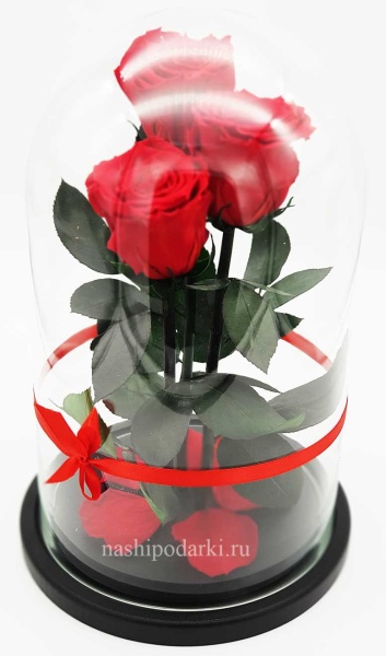 картинка Роза Трио Оптом Выс*Диам*Бутон (32*22*3х7см) Цвет красная подарки