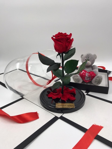 картинка Роза Premium Выс*Диам*Бутон (27*15*6-7см) Цвет красная подарки