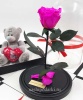 картинка Роза Premium Выс*Диам*Бутон (27*15*6-7см) Цвет фуксия подарки