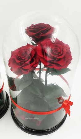 картинка Роза Трио ХИТ Оптом Выс*Диам*Бутон (32*22*3х12см) Цвет бордовая подарки