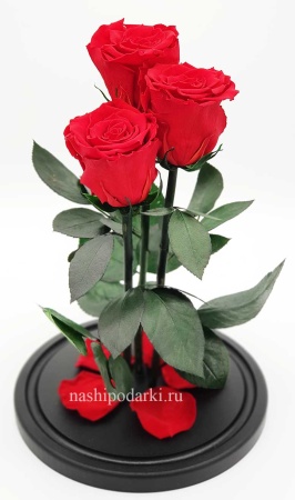 картинка Роза Трио Оптом Выс*Диам*Бутон (32*22*3х7см) Цвет красная подарки