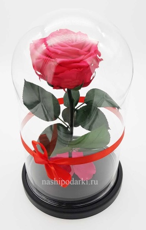 картинка Роза King Выс*Диам*Бутон (30*18*12см) Цвет красная подарки