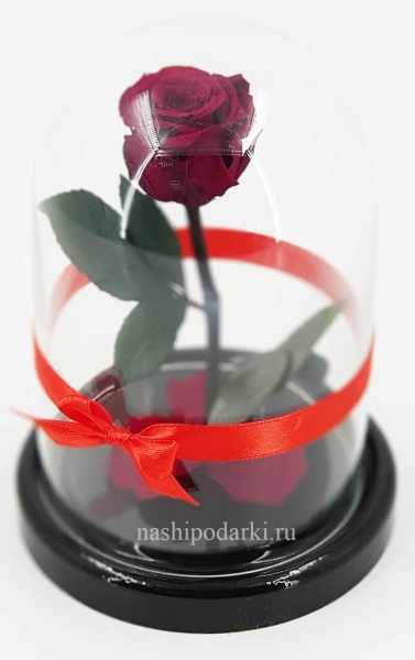 картинка Роза в колбе Mini Выс*Диам*Бутон (22*12.5*6см), Цвет бордовая подарки