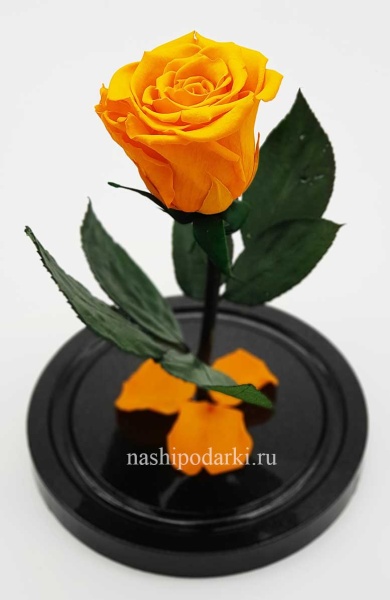 картинка Роза в колбе Mini Выс*Диам*Бутон (22*12.5*6см), Цвет оранжевая подарки