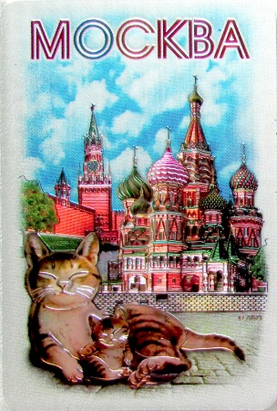 Магнит фольгированный Москва арт. 02506018K4 