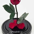 магазин Розы в колбе
Розы в колбе магазине