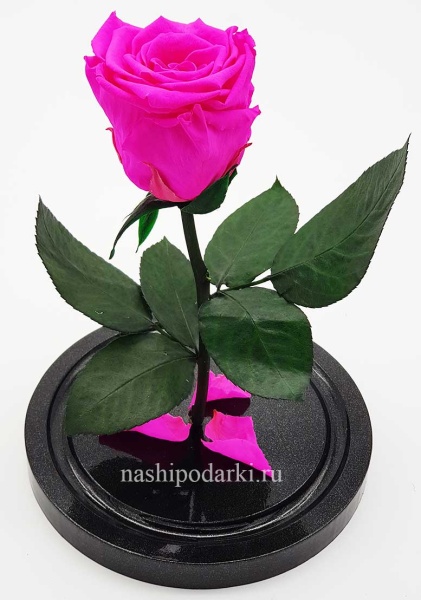 картинка Роза в колбе Mini Выс*Диам*Бутон (22*12.5*6см), Цвет ярко-розовая подарки