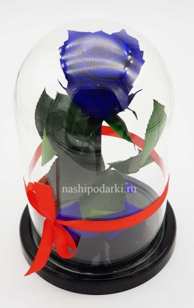 картинка Роза в колбе Mini Выс*Диам*Бутон (22*12.5*6см), Цвет темно-синий подарки