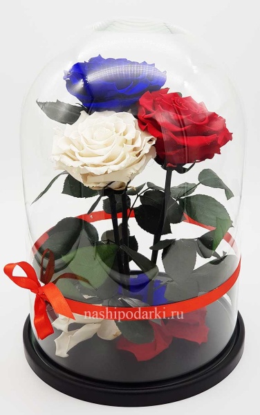 картинка Роза Трио Premium Оптом Выс*Диам*Бутон (32*22*3х12см) Цвет мультиколор подарки