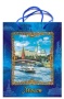 Пакет бумажный "Москва" 26х31 см.