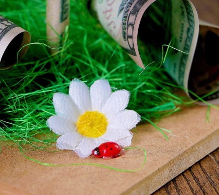 Сувенир «Денежное дерево» арт. 1805046