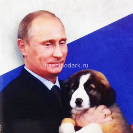 Магнит фотография В.В.Путина. 9х6см Арт. 140219241