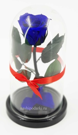 картинка Роза Micro Выс*Диам*Бутон (22*11*5-6см) цвет в ассортименте подарки картинка Роза Micro Выс*Диам*Бутон (22*11*5-6см) цвет в ассортименте подарки