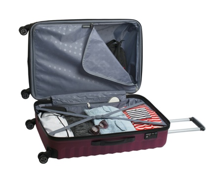 Чемодан большой FRIBOURG WENGER SW32300177 